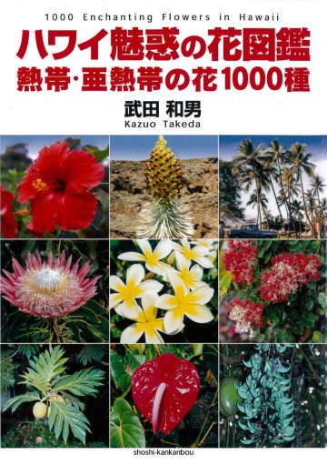 ハワイ魅惑の花図鑑 