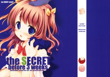 the SECRET -before 3 weeks- コピー誌 