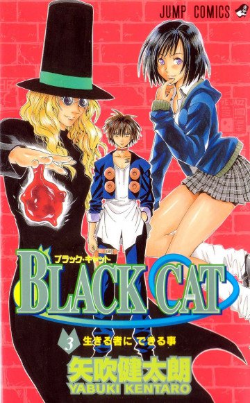 Black cat 3