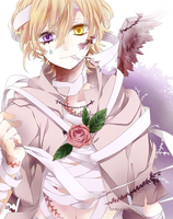 Tora chan