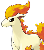 KPonyta