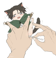 taiii