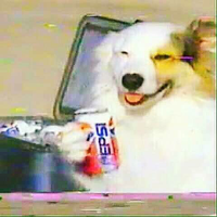 PepsiDog