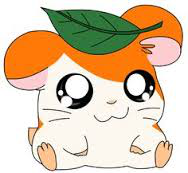 deadhamster