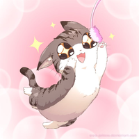 littlemiaumiau