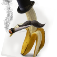 Mr.bananaman420