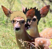 Moseguri