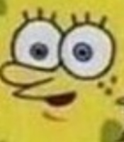 spingebill