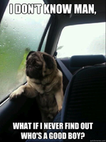 Puglover27