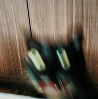 an entity