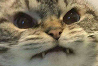 aaaaaaaaaaaaaAAAAAAAAAAAAAAAA