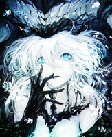 Cyrenius