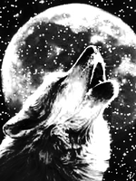 Greywolf