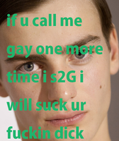hereforthegayshit