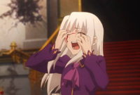 shibelord