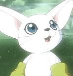 Foxie03