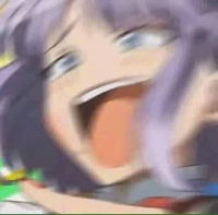 ravioli duck