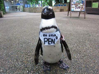 Pen²