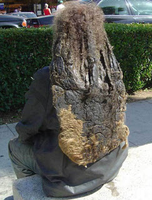 noshitlockspls