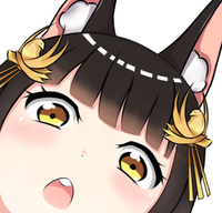 暗い肌をしてください
