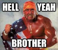 HULK.HOGAN