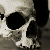 SkullandBones