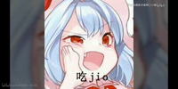 nonp