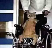 BOIBOIBOI