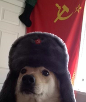 Bchilla