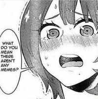 memelord606