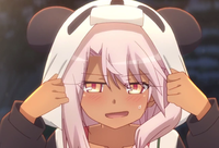 Loliwarrior