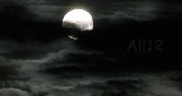 ali12