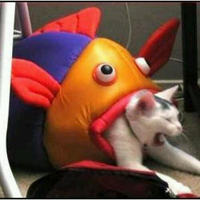 fyuuuni