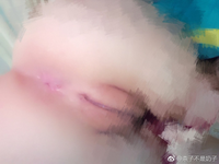 1361358248@qq.com