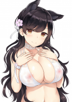 aria23