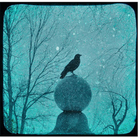 WinterCrow