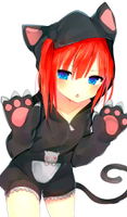 Mocki