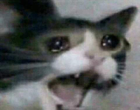 kaito14