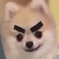 Wolffrider