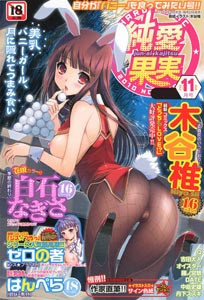 hentai-magazine-jun-ai-kajitsu-2010-11-vol-31