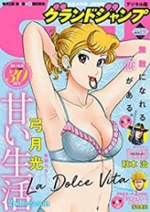 グランドジャンプ 年19号 Grand Jump 19 Manga Zip