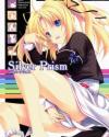 Silver Prism - Flyable Heart