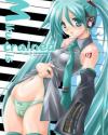 Miku is trained -I want you to remember.- - VOCALOID