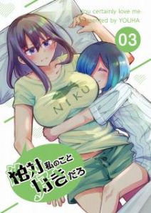 ヨウハ 絶対私のこと好きだろ 第01 03巻 Zip Rar Dl Manga