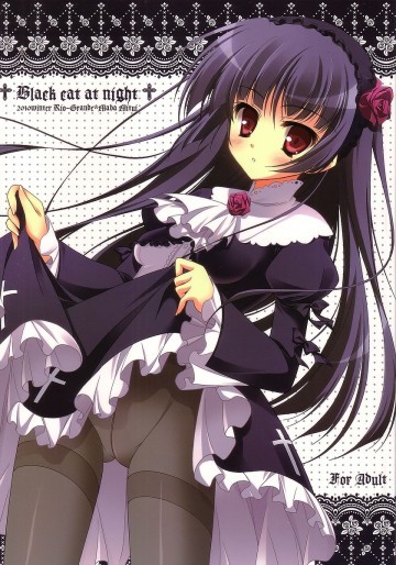 Black cat at night 