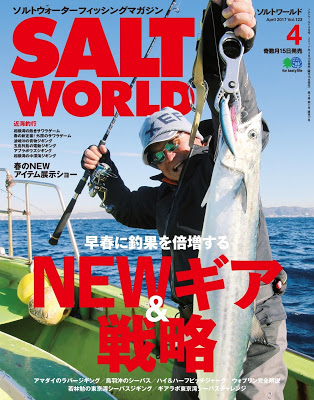 [雑誌] SALT WORLD（ソルトワールド） 2017年04月号 Vol.123 Raw Download